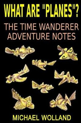 Cover of What are planes? The time wanderer adventure notes