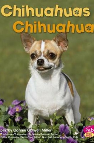 Cover of Chihuahuas/Chihuahuas