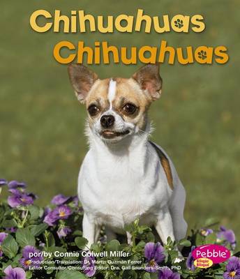 Book cover for Chihuahuas/Chihuahuas