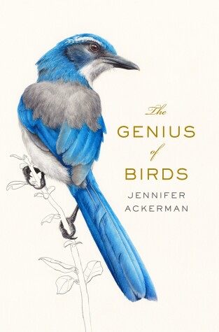Book cover for The Genius of Birds