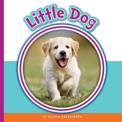 Book cover for Little Dog