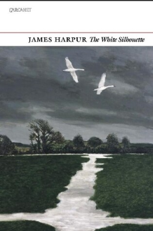 Cover of The White Silhouette