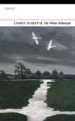 Book cover for The White Silhouette