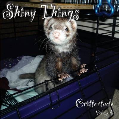 Cover of Shiny Things