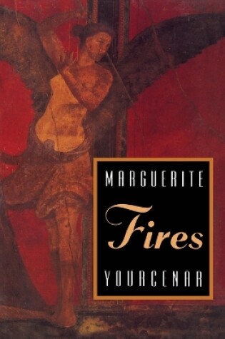 Cover of Fires