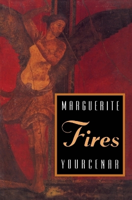 Book cover for Fires