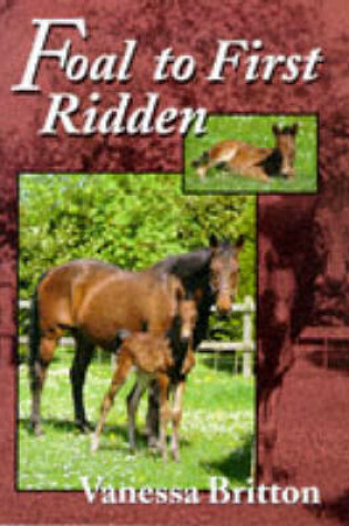 Cover of Foal to First Ridden