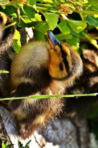 Cover of Duckling Mallard Duck Resting Journal