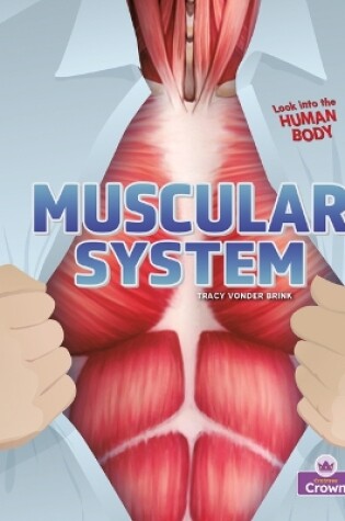 Cover of Muscular System