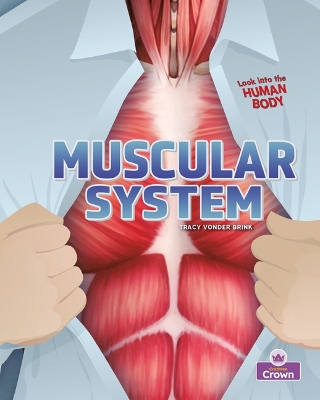 Book cover for Muscular System