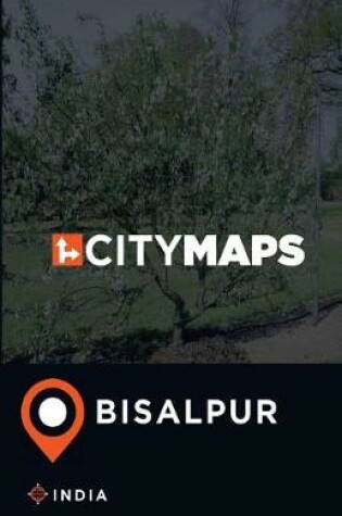 Cover of City Maps Bisalpur India