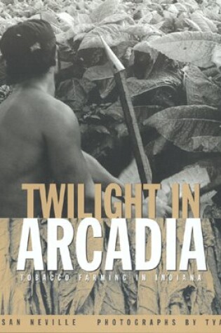 Cover of Twilight in Arcadia