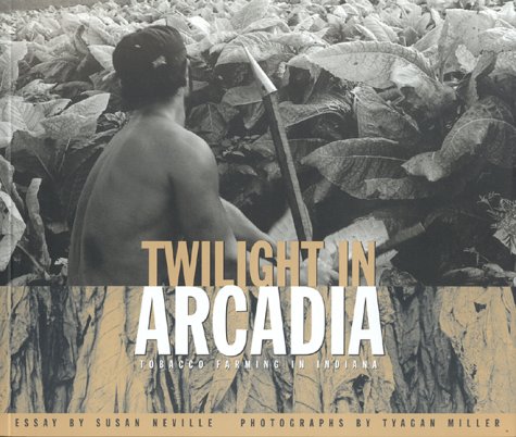 Book cover for Twilight in Arcadia