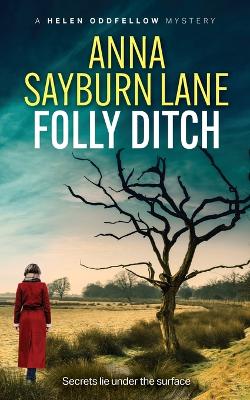 Book cover for Folly Ditch