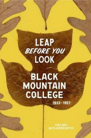 Cover of Leap Before You Look