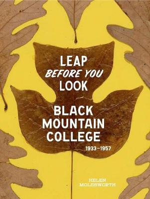 Book cover for Leap Before You Look