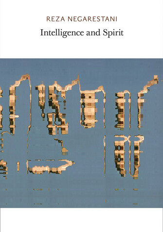 Cover of Intelligence and Spirit