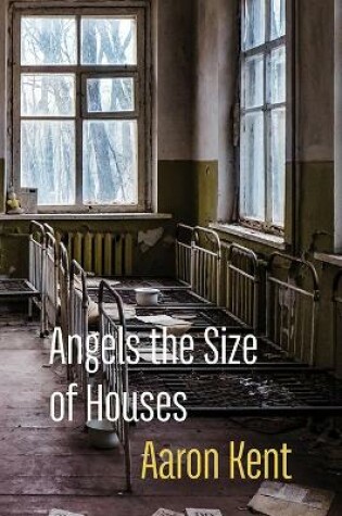 Cover of Angels the Size of Houses