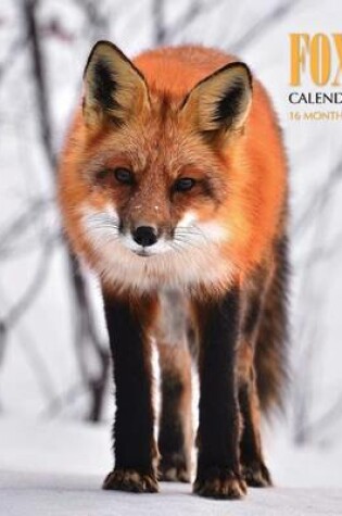 Cover of Foxes Calendar 2017