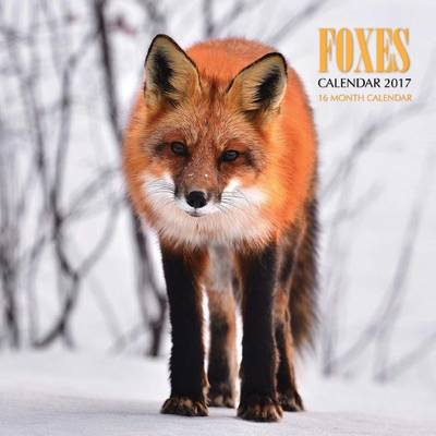 Book cover for Foxes Calendar 2017