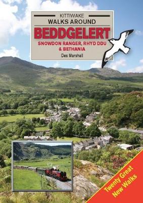 Book cover for Walks Around Beddgelert