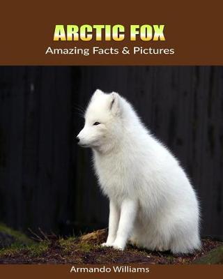 Book cover for Arctic Fox