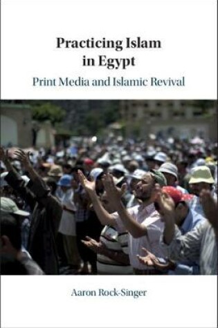 Cover of Practicing Islam in Egypt