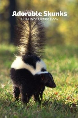 Cover of Adorable Skunks Full-Color Picture Book