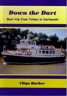 Book cover for Down the Dart