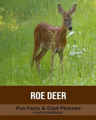 Book cover for Roe Deer