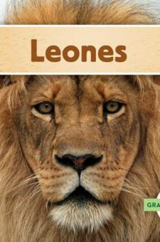 Cover of Leones
