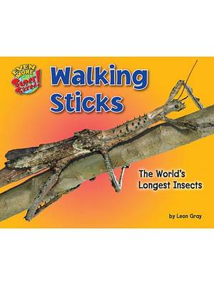 Book cover for Walking Sticks