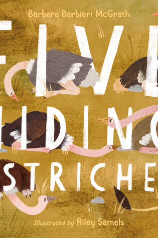 Cover of Five Hiding Ostriches