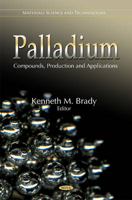 Book cover for Palladium