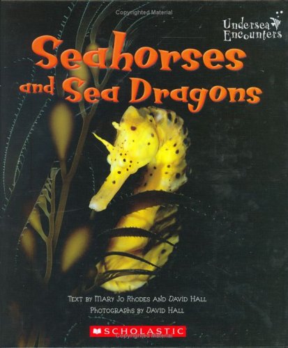 Book cover for Seahorses and Sea Dragons