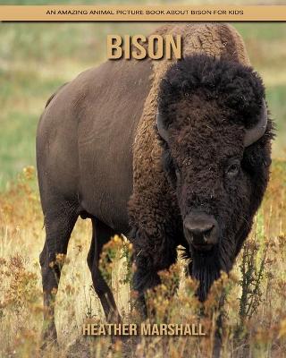 Book cover for Bison