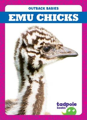 Book cover for Emu Chicks