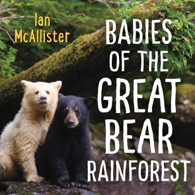 Book cover for Babies of the Great Bear Rainforest