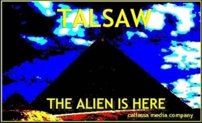 Book cover for Talsaw