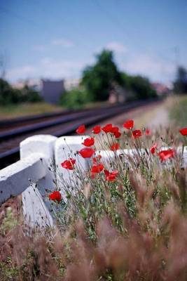 Book cover for Vivid Red Poppies by the Train Track