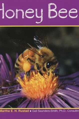 Cover of Honey Bees