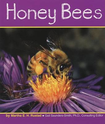 Book cover for Honey Bees