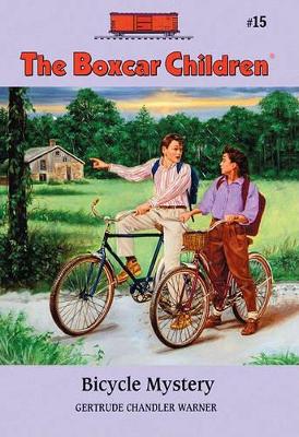 Book cover for The Bicycle Mystery