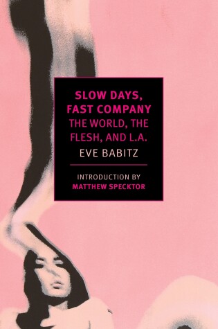 Cover of Slow Days, Fast Company