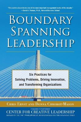 Book cover for Boundary Spanning Leadership (PB)