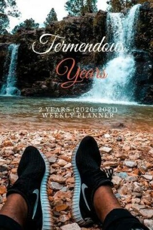 Cover of Termendous Years