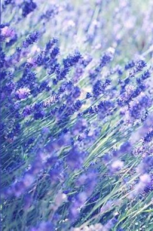 Cover of Lovely Field of Lavender Flowers Blank Notebook Journal