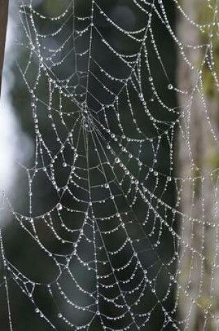 Cover of Spider Web in a Corner with Dew Drops, for the Love of Nature