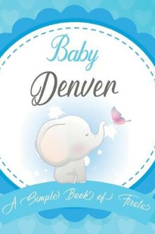 Cover of Baby Denver A Simple Book of Firsts