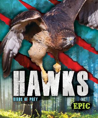 Cover of Hawks